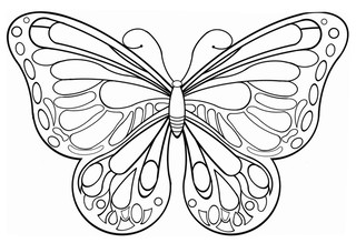 Бабочка с красивым узором