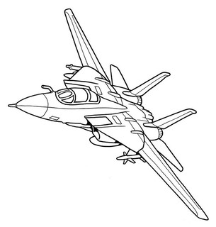 Самолет F-14